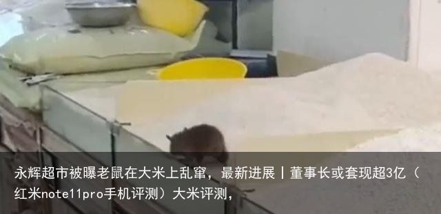 永辉超市被曝老鼠在大米上乱窜，最新进展丨董事长或套现超3亿（红米note11pro手机评测）大米评测，