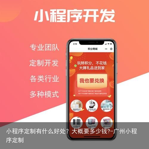 小程序定制有什么好处？大概要多少钱?-广州小程序定制