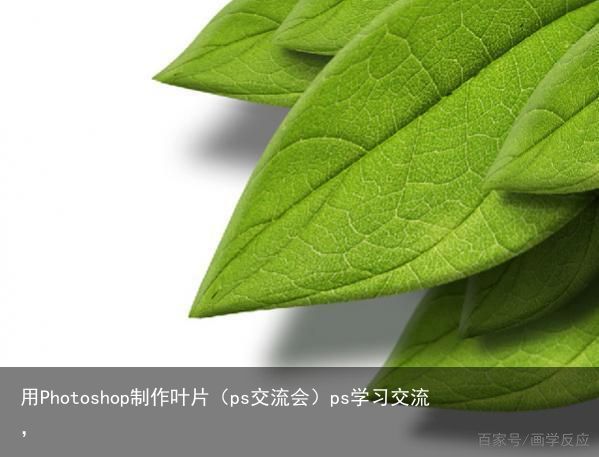 用Photoshop制作叶片（ps交流会）ps学习交流，