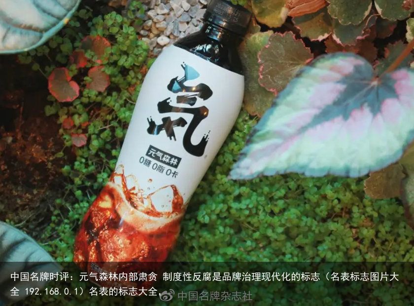 中国名牌时评：元气森林内部肃贪 制度性反腐是品牌治理现代化的标志（名表标志图片大全 192.168.0.1）名表的标志大全，