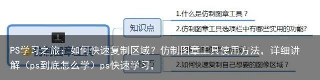 PS学习之旅：如何快速复制区域？仿制图章工具使用方法，详细讲解（ps到底怎么学）ps快速学习，