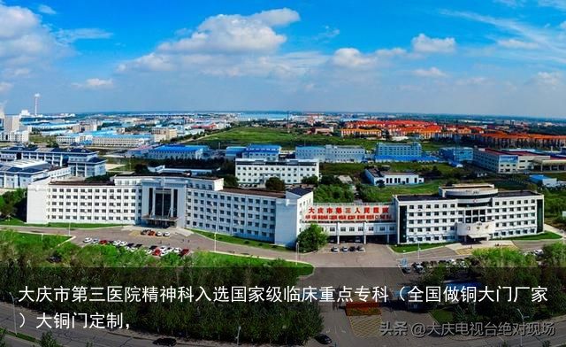 大庆市第三医院精神科入选国家级临床重点专科（全国做铜大门厂家）大铜门定制，