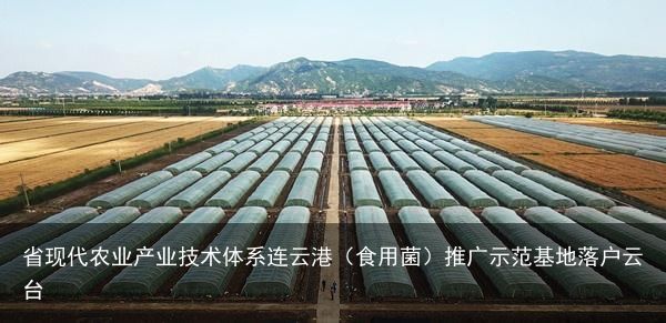 省现代农业产业技术体系连云港（食用菌）推广示范基地落户云台