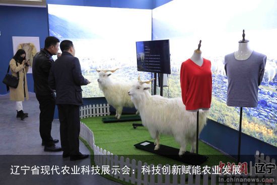 辽宁省现代农业科技展示会：科技创新赋能农业发展