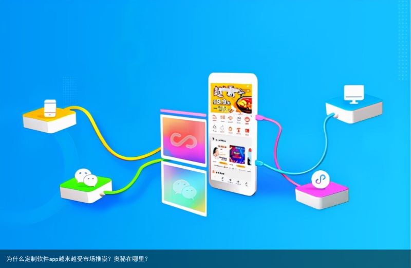 为什么定制软件app越来越受市场推崇？奥秘在哪里？