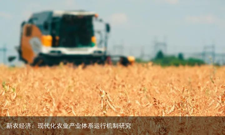 新农经济：现代化农业产业体系运行机制研究
