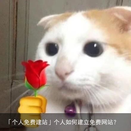 「个人免费建站」个人如何建立免费网站？