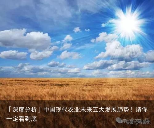 「深度分析」中国现代农业未来五大发展趋势！请你一定看到底