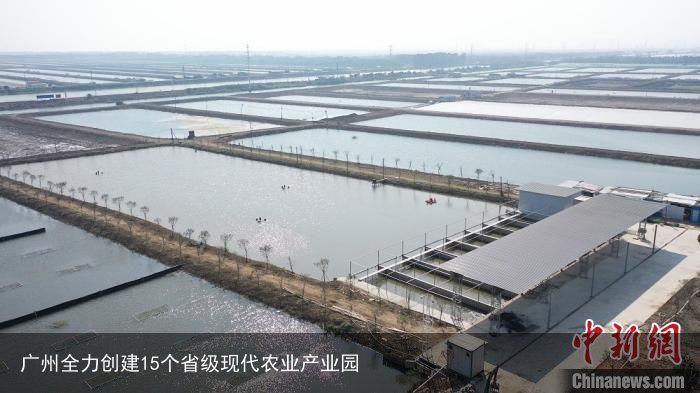 广州全力创建15个省级现代农业产业园