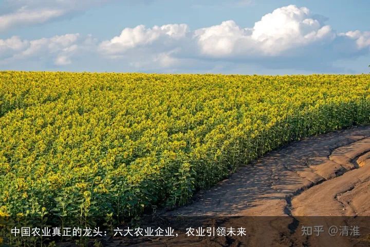 中国农业真正的龙头：六大农业企业，农业引领未来