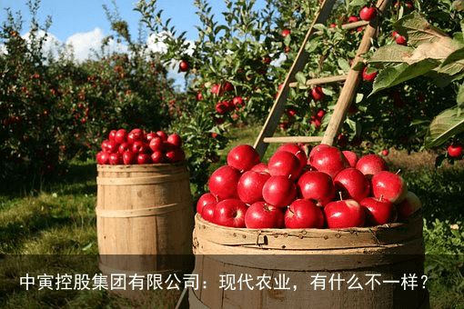 中寅控股集团有限公司：现代农业，有什么不一样？
