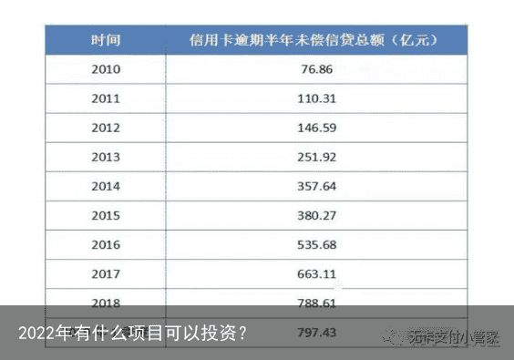 2022年有什么项目可以投资？