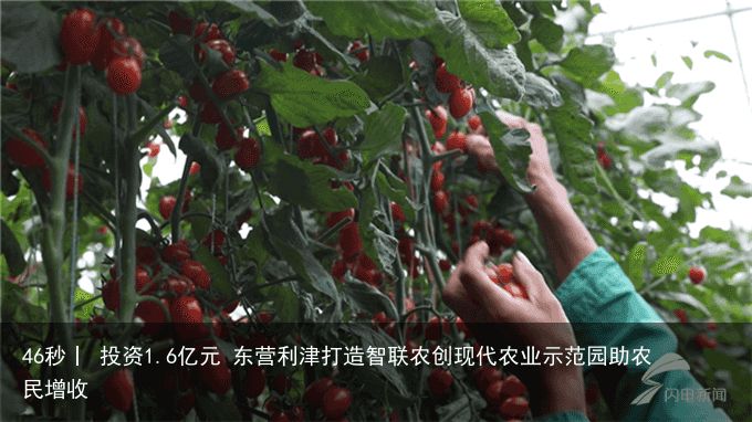 46秒丨 投资1.6亿元 东营利津打造智联农创现代农业示范园助农民增收