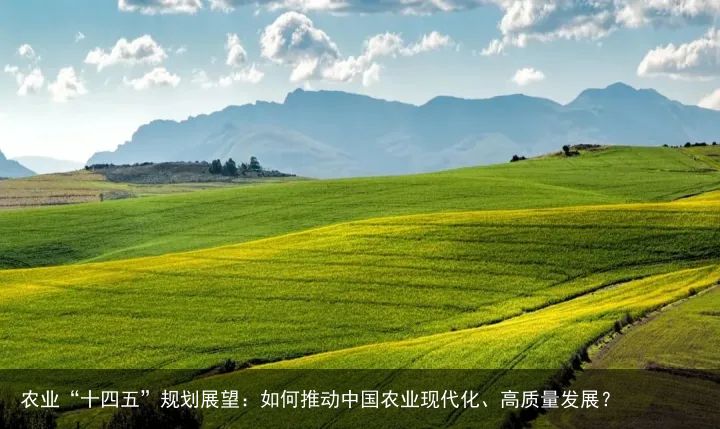 农业“十四五”规划展望：如何推动中国农业现代化、高质量发展？