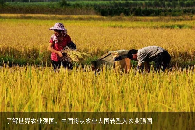 了解世界农业强国，中国将从农业大国转型为农业强国