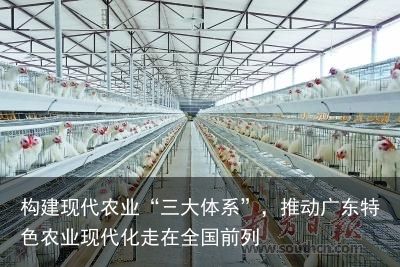 构建现代农业“三大体系”，推动广东特色农业现代化走在全国前列