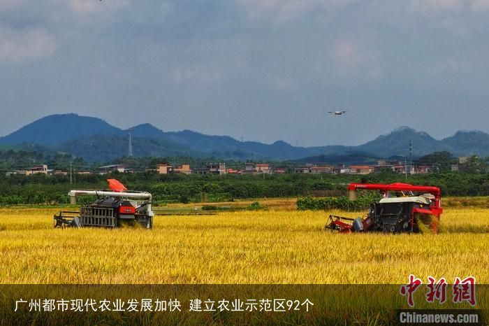 广州都市现代农业发展加快 建立农业示范区92个