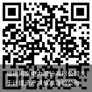福建闽东电力股份有限公司关于计提资产减值准备的公告