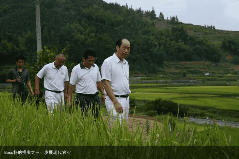 Boss杨的提案之三：发展现代农业