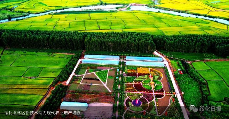 绥化北林区新技术助力现代农业增产增收