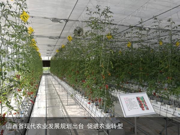 山西省现代农业发展规划出台 促进农业转型