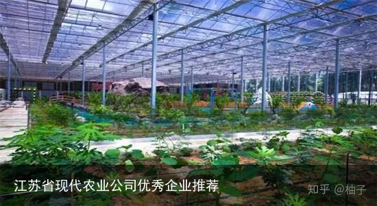 江苏省现代农业公司优秀企业推荐