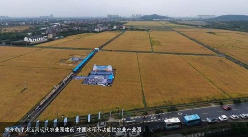 杭州临平大运河现代农业园建设 中国水稻节功能性农业产业园
