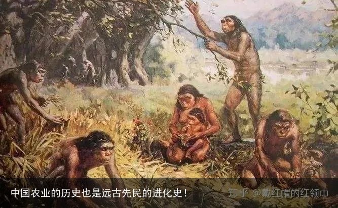 中国农业的历史也是远古先民的进化史！