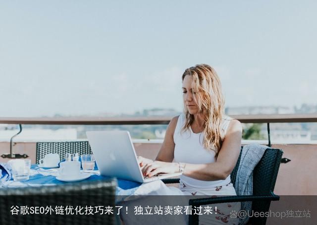 谷歌SEO外链优化技巧来了！独立站卖家看过来！