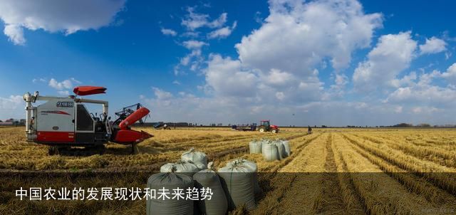 中国农业的发展现状和未来趋势
