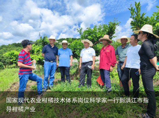 国家现代农业柑橘技术体系岗位科学家一行到洪江市指导柑橘产业