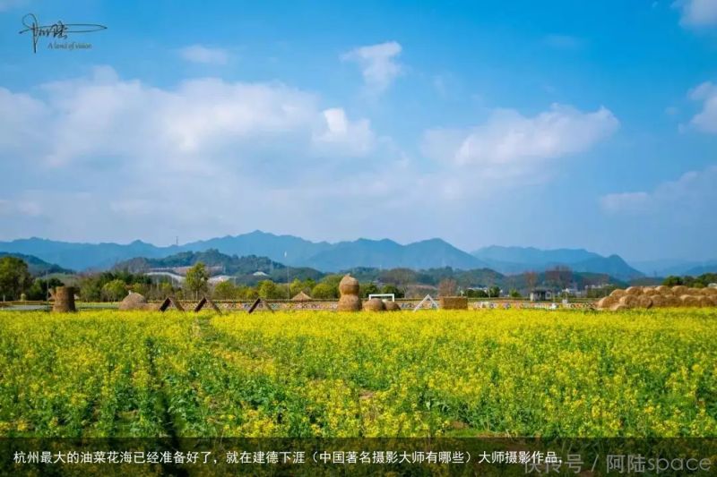 杭州最大的油菜花海已经准备好了，就在建德下涯（中国著名摄影大师有哪些）大师摄影作品，