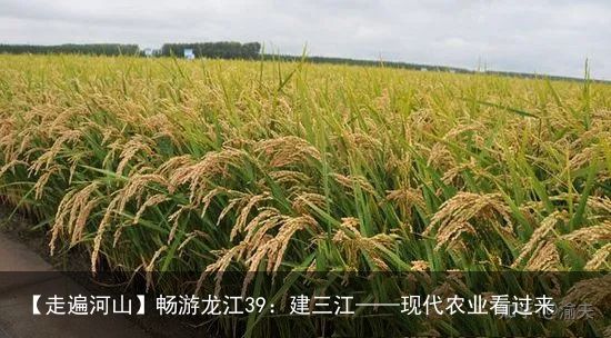 【走遍河山】畅游龙江39：建三江——现代农业看过来