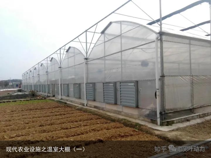 现代农业设施之温室大棚（一）