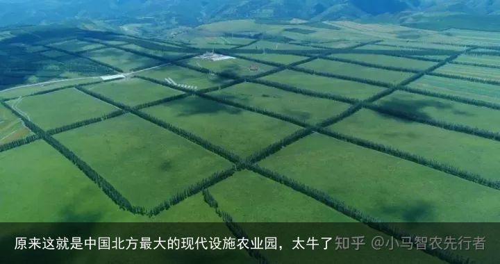 原来这就是中国北方最大的现代设施农业园，太牛了