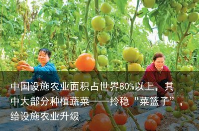 中国设施农业面积占世界80%以上，其中大部分种植蔬菜——拎稳“菜篮子”，给设施农业升级