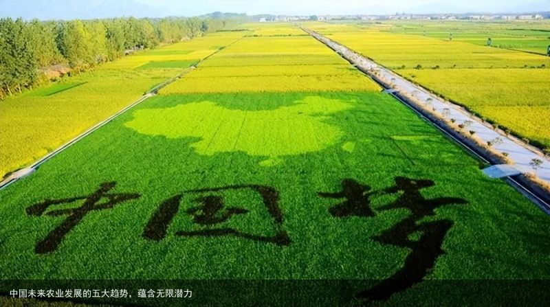 中国未来农业发展的五大趋势，蕴含无限潜力
