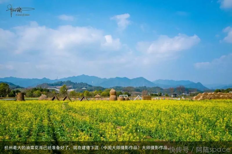 杭州最大的油菜花海已经准备好了，就在建德下涯（中国大师摄影作品）大师摄影作品，
