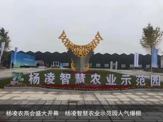 杨凌农高会盛大开幕  杨凌智慧农业示范园人气爆棚