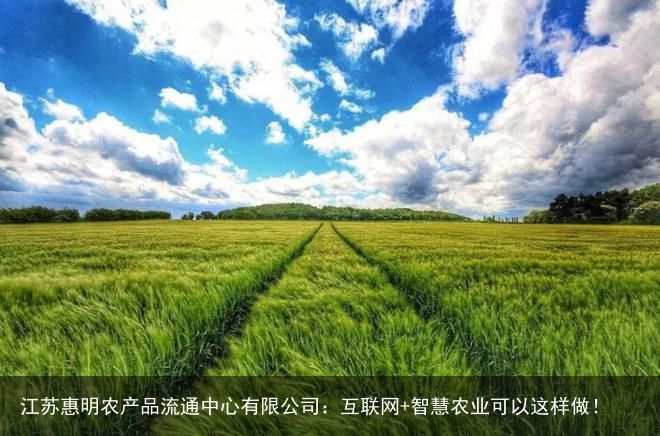 江苏惠明农产品流通中心有限公司：互联网+智慧农业可以这样做！