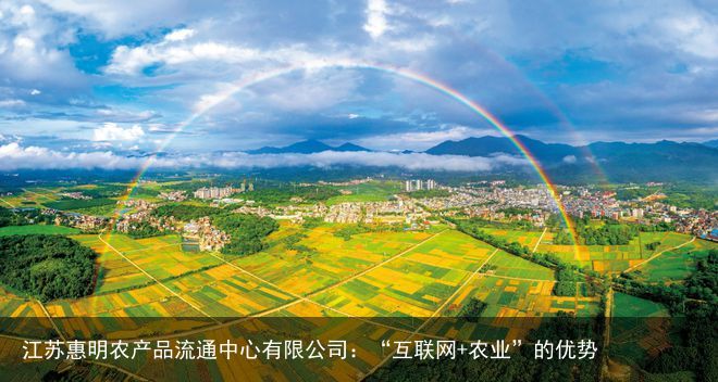 江苏惠明农产品流通中心有限公司：“互联网+农业”的优势