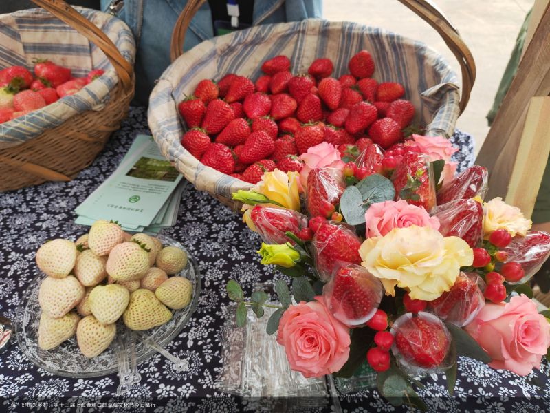 “莓”好振兴乡村，第十三届上海青浦白鹤草莓文化节今日举行