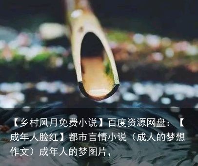 【乡村风月免费小说】百度资源网盘：【成年人脸红】都市言情小说（成人的梦想作文）成年人的梦图片，