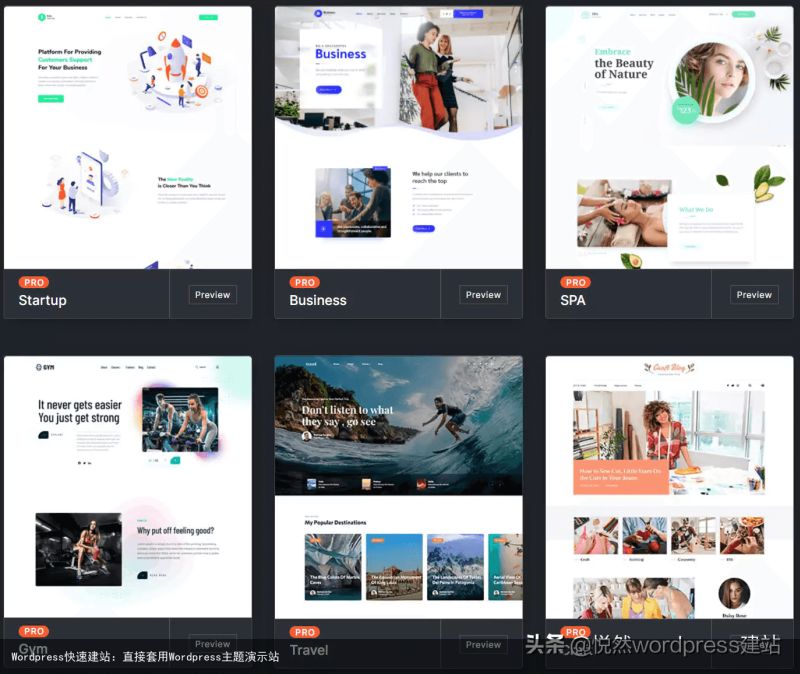 Wordpress快速建站：直接套用Wordpress主题演示站