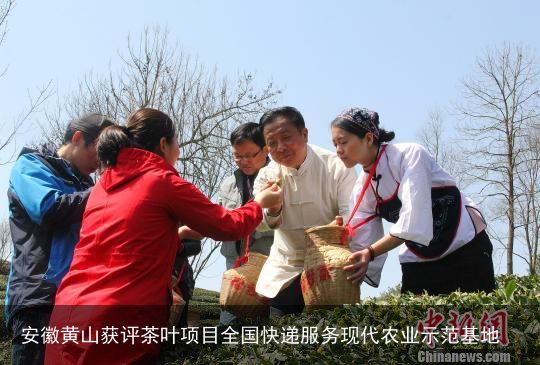 安徽黄山获评茶叶项目全国快递服务现代农业示范基地