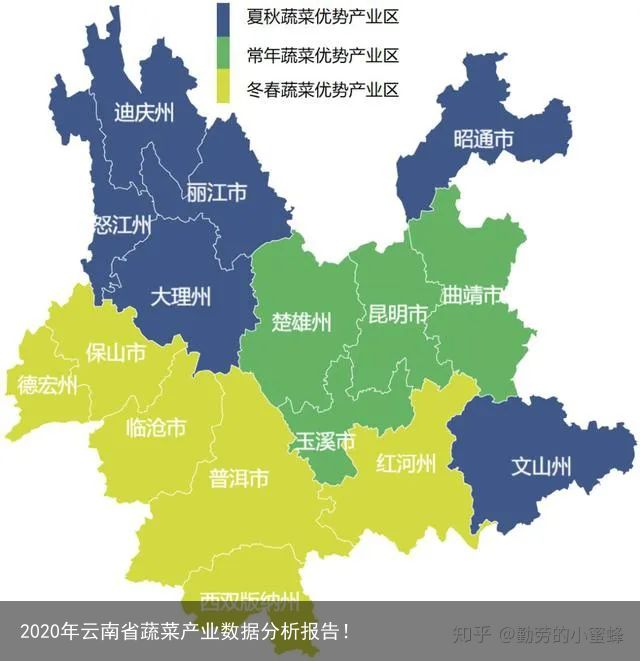 2020年云南省蔬菜产业数据分析报告！