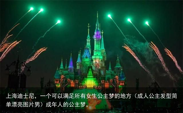 上海迪士尼，一个可以满足所有女生公主梦的地方（成人公主发型简单漂亮图片男）成年人的公主梦，