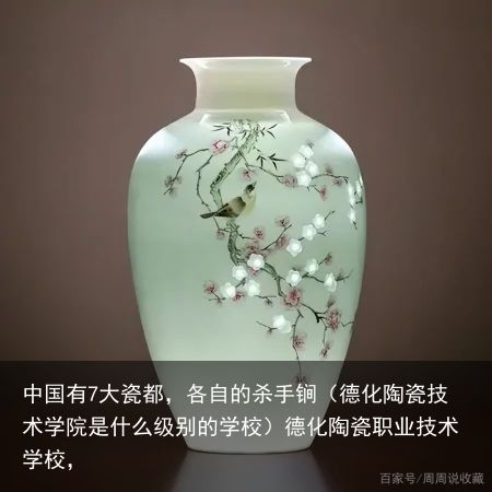 中国有7大瓷都，各自的杀手锏（德化陶瓷技术学院是什么级别的学校）德化陶瓷职业技术学校，