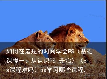 如何在最短的时间学会PS（基础课程一：从认识PS 开始）（ps课程难吗）ps学习哪些课程，