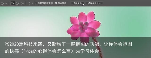 PS2020黑科技来袭，又新增了一键抠图的功能，让你体会抠图的快感（学ps的心得体会怎么写）ps学习体会，